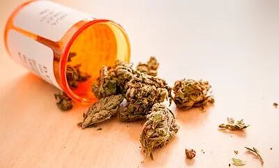 大麻贩子兴奋和整堆大麻合影，最后因合照入狱，警方：都不用费心找证据了（组图） - 8