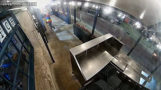 海洋学家抢走餐厅龙虾放生，店主哭了：那是我宠物啊（组图） - 7