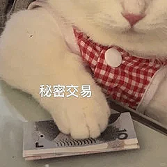 我们说了十几年的“AA制”，老外压根听不懂... - 5