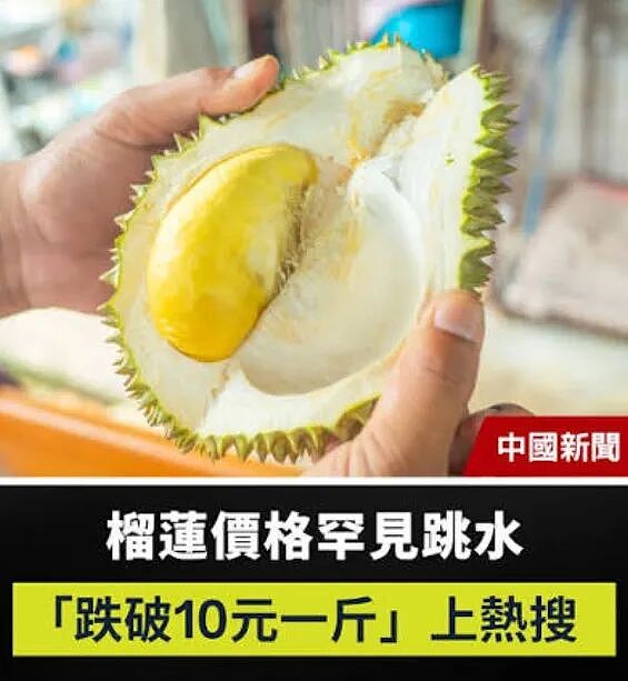 遭“中国版阳光金果”逼宫,新西兰“国果”或要变成中国产!(组图) - 4