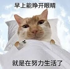 小红书超火的“你身边总会出现的留子”，简直不要太准 - 15