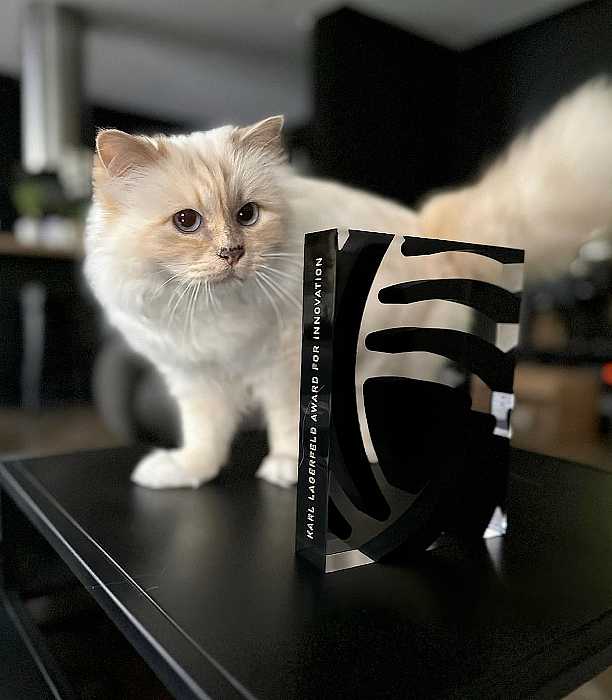 世界最富有猫被“吃绝户”?落魄千金只能打工赚猫粮? - 53