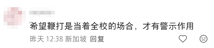 小学生“犯法”一样被打鞭！新加坡教育管制放狠招，中国新移民家长坐不住了（组图） - 21