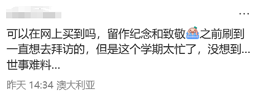 无数华人震惊又难过!那个备受喜爱的澳洲袋熊爷爷,突然去世了! - 33
