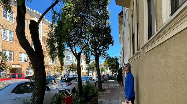 刚买的房子,剪了门口几棵树,竟被罚5万美元!美国房主彻底懵了…(组图) - 2