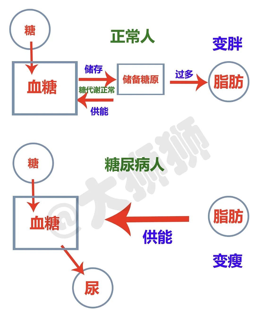 今天我想把“抗糖”这件事，说清楚！ - 5
