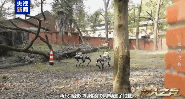 中国机器狼群巷战画面首次公开！“暗影”“浴血”“极地”集结 - 3