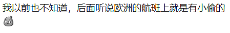 没摄像头没人管!华人飞国外,手机被顺走,有人丢了100万!国际航班成重灾区,机组人员也别信 - 18