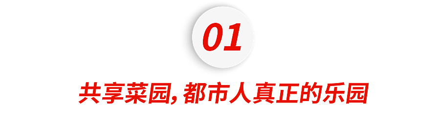 中产最烧钱的户外运动：种地 - 1