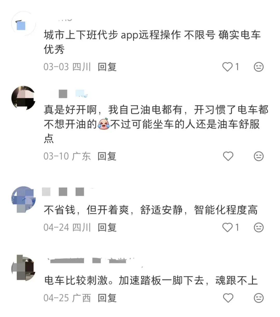 豪车降价潮:燃油车,四面楚歌(组图) - 9