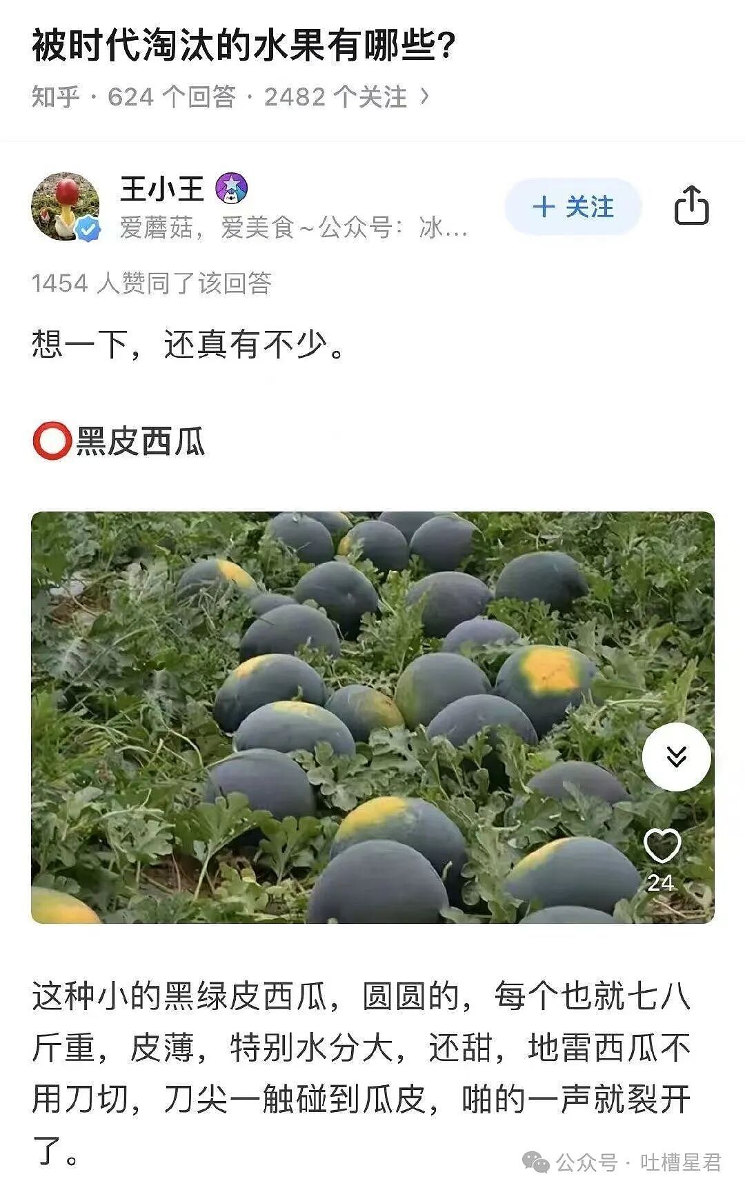 “有哪些以前很火现在被淘汰的水果...?” 这些才是真正的意难平(组图) - 12