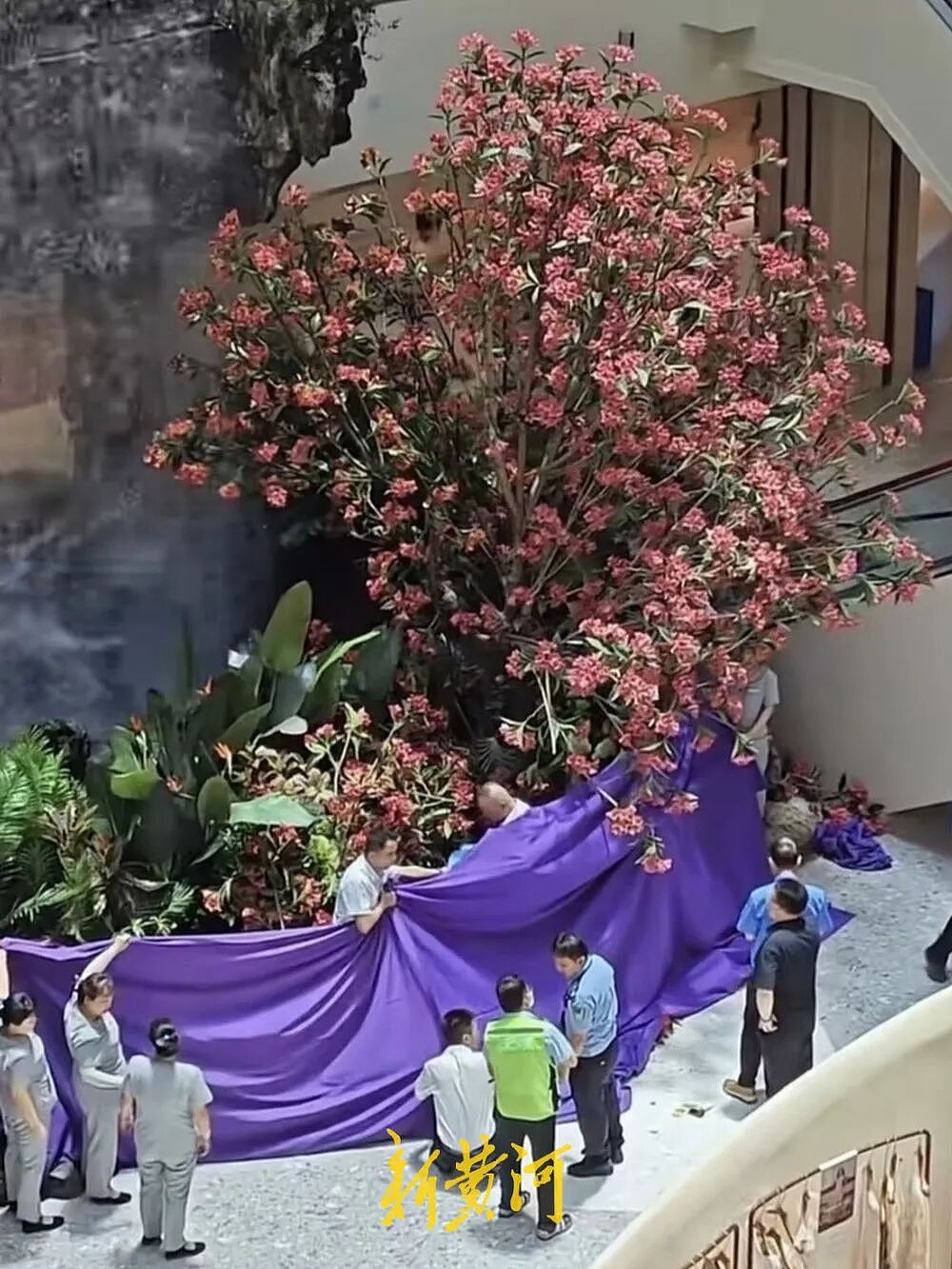 西安赛格商户负责人坠亡：关于1154.6万元违约金存三大疑问（图） - 1