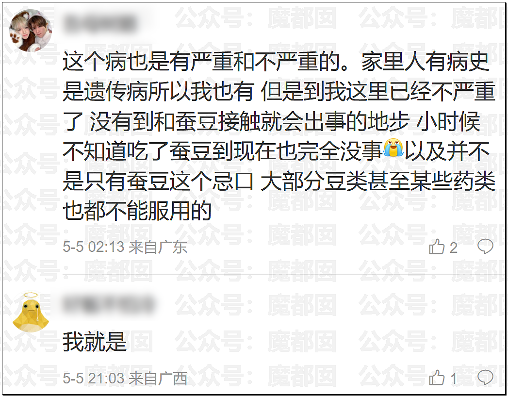 震撼！竟然不是所有人都能吃蚕豆！可能严重到溶血死亡（组图） - 19