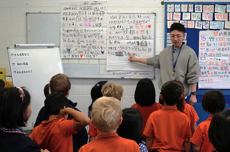 澳洲亚洲语言面临“断崖式危机”，学中文的孩子却越来越少，专家：学中文、印尼语ATAR应加5分！（组图） - 6