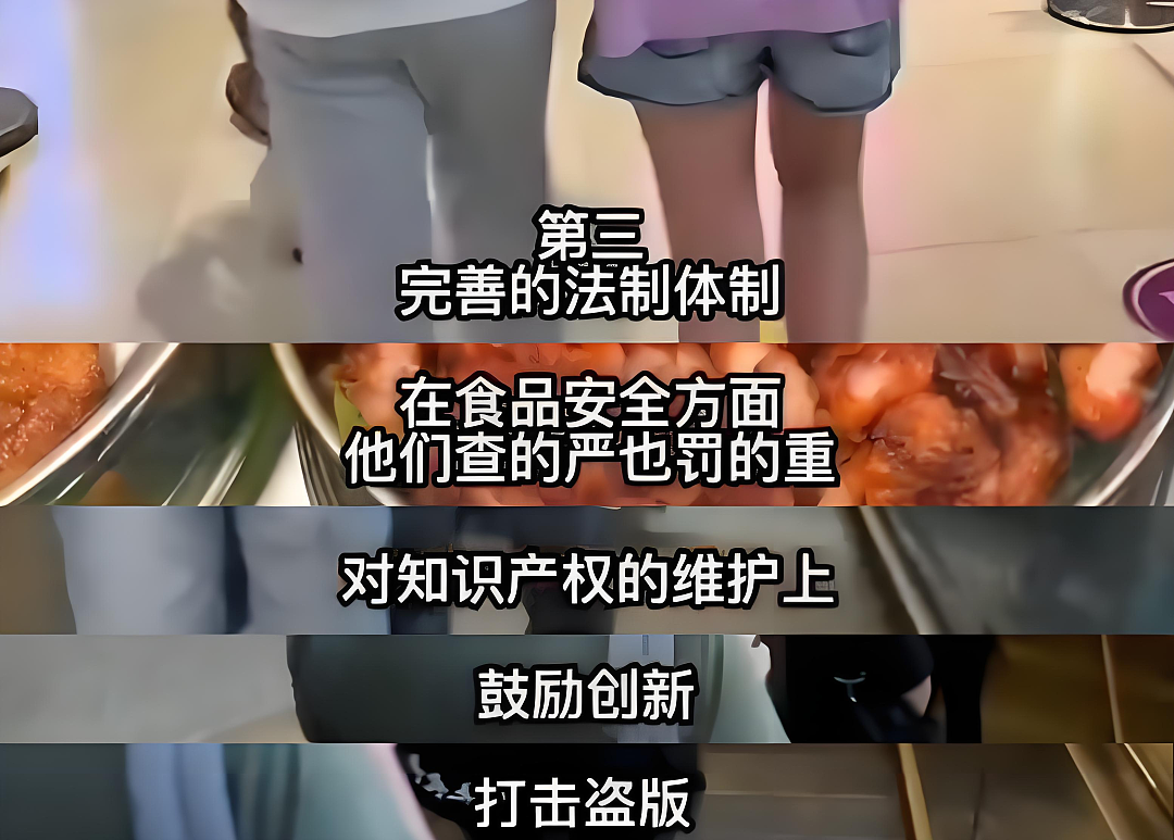 中国网红博主硬核剖析新加坡“封神级”5大生存优势！唯独这点引惹怒无数网友... - 4