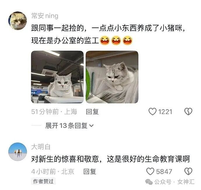 相亲对象竟是宋仲基?场面太尴尬了!网友笑喷:媒婆不上网吗?(组图) - 31
