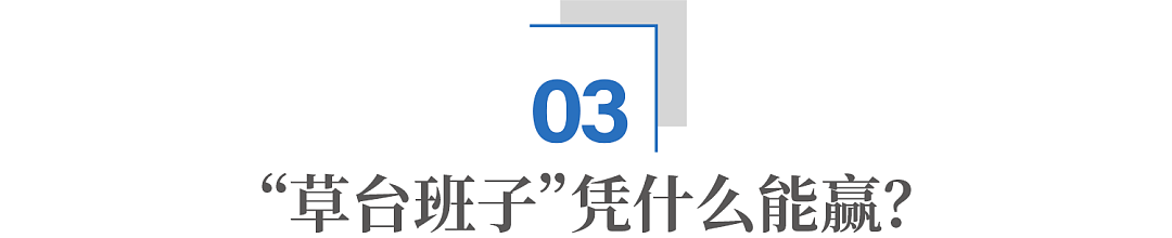 中国小伙用激光打蚊子,在海外卖爆了(组图) - 8