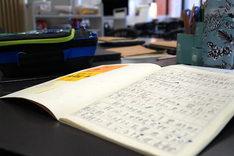 澳洲亚洲语言面临“断崖式危机”，学中文的孩子却越来越少，专家：学中文、印尼语ATAR应加5分！（组图） - 4