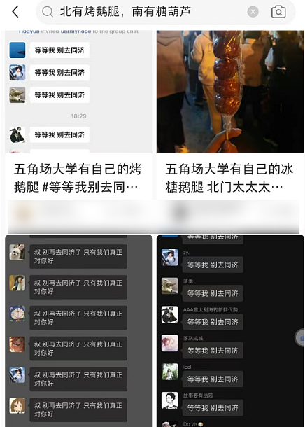 “鹅腿阿姨”就这样玩弄了清北大学生(组图) - 22