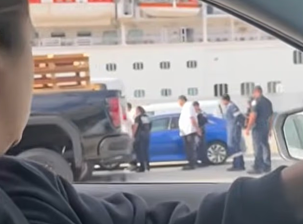 游客看傻了!迪士尼邮轮靠港后,多名员工穿制服被移民局铐走(组图) - 4