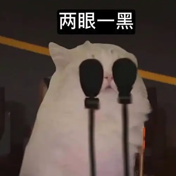 留学生生病开始求助AI，竟然省下一辆特斯拉（组图） - 8