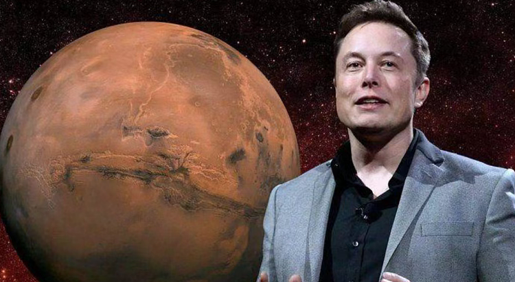 SpaceX上市前重金招人，新加坡岗位月薪高达12万新币（组图） - 3