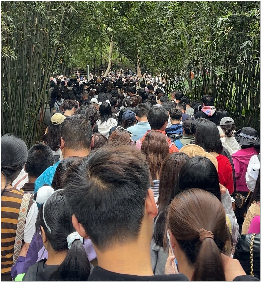 肉贴肉，人挤人！五一长假首日，中国各大景点已爆（组图） - 12