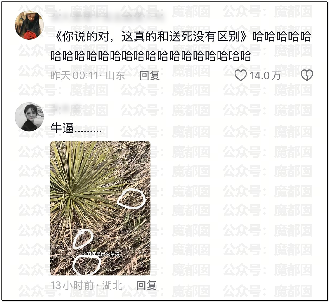 全网骇然！女生被AI带入剧毒蛇窝！遍地响尾蛇险些命丧当场（组图） - 56