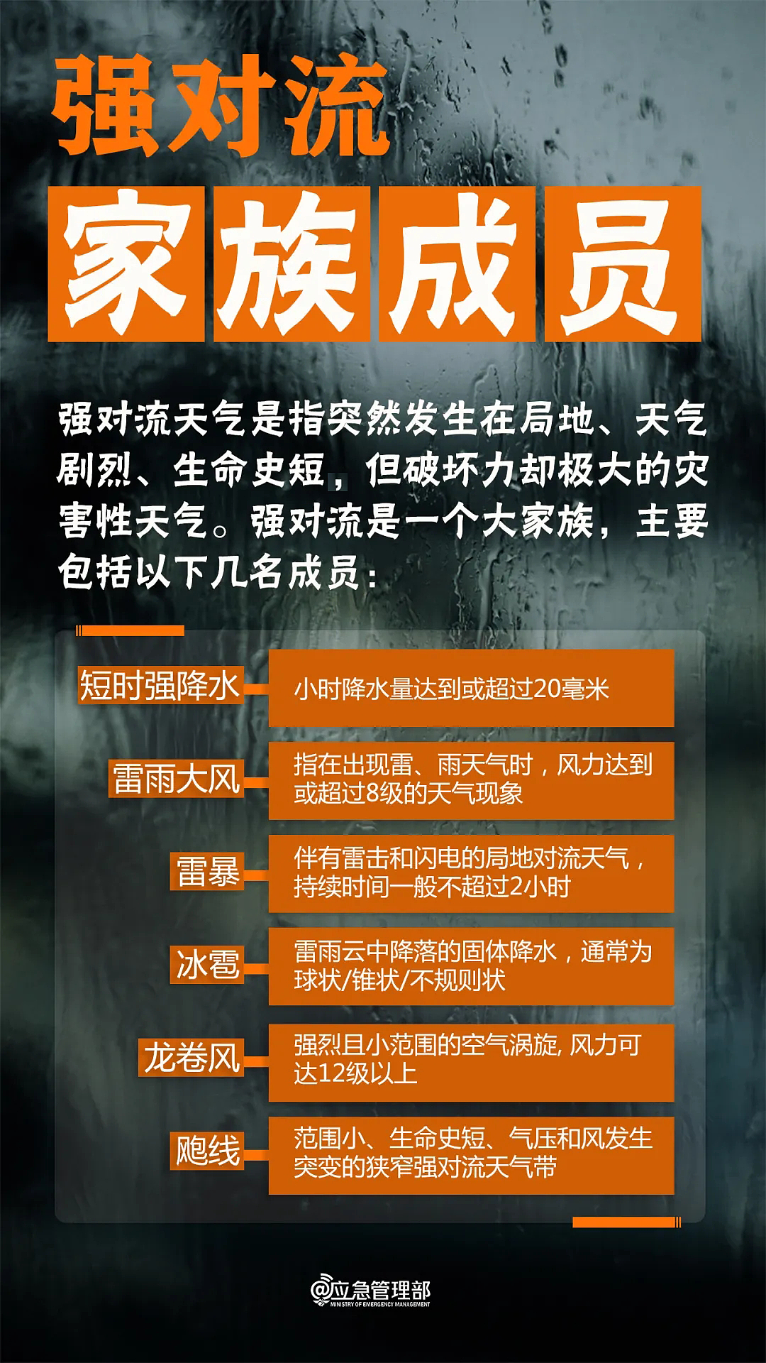 “整栋楼被掏空”，男子住12楼被大风“吸出”坠入绿化带，家属：还在ICU - 10