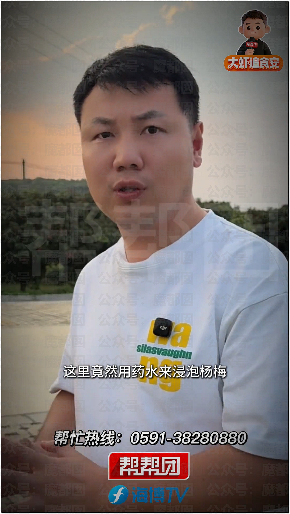 气到发抖！我们吃了那么多年杨梅竟都浸泡防腐剂和化学糖精（组图） - 22