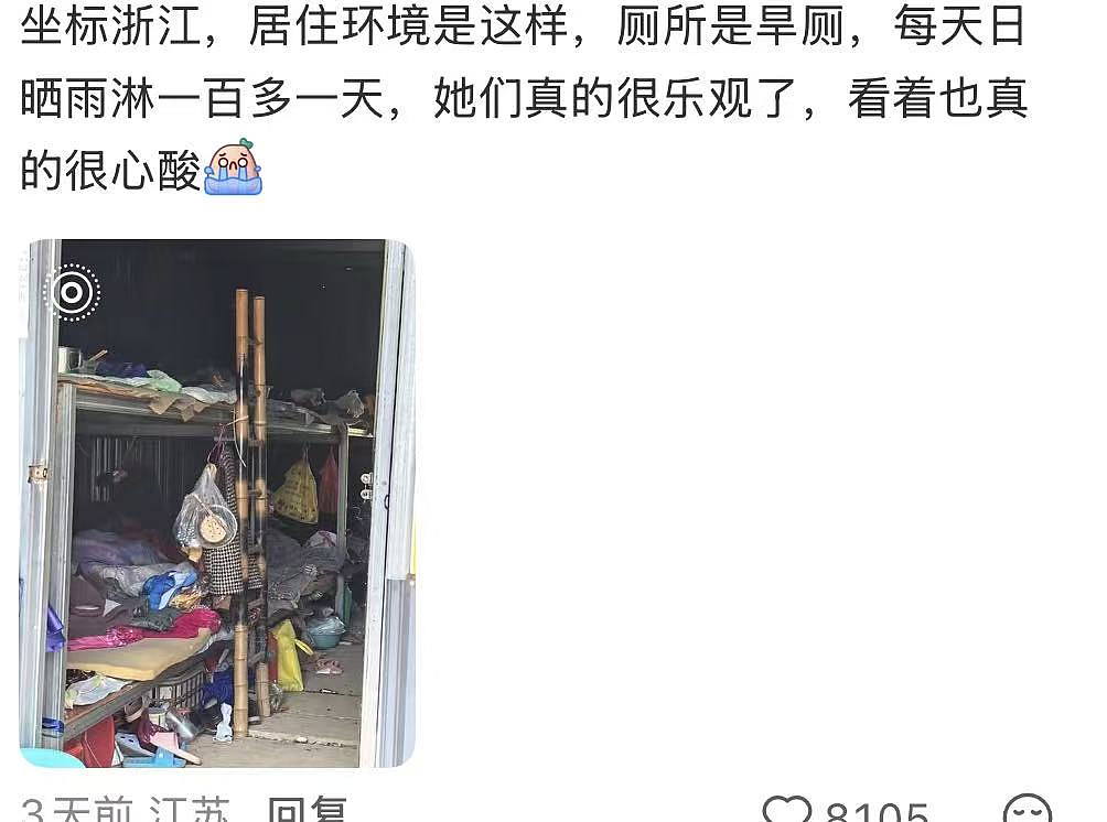 “浙江采茶女”最窒息一幕冲上热搜:天价茶叶和她们形成鲜明对比 - 7