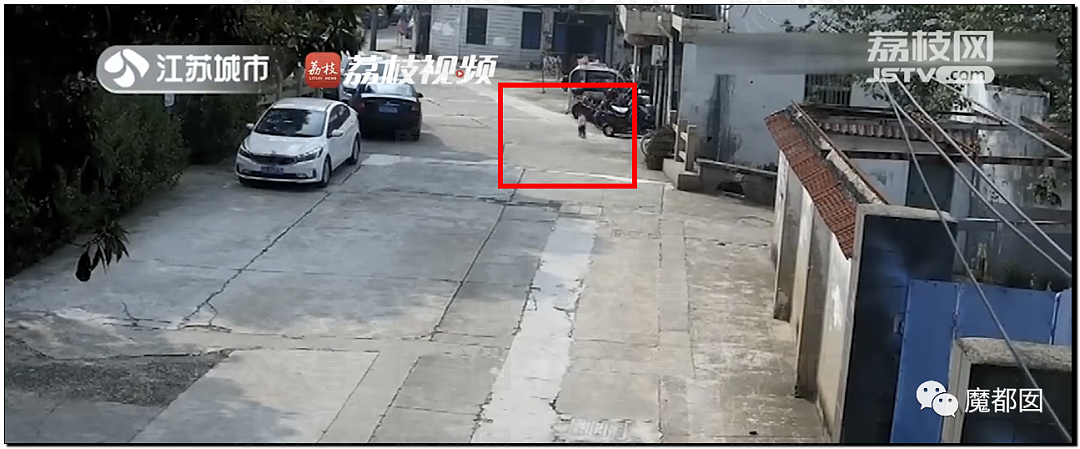 离谱！儿童独自外出冲上马路险被撞，引发安全关注（组图） - 10