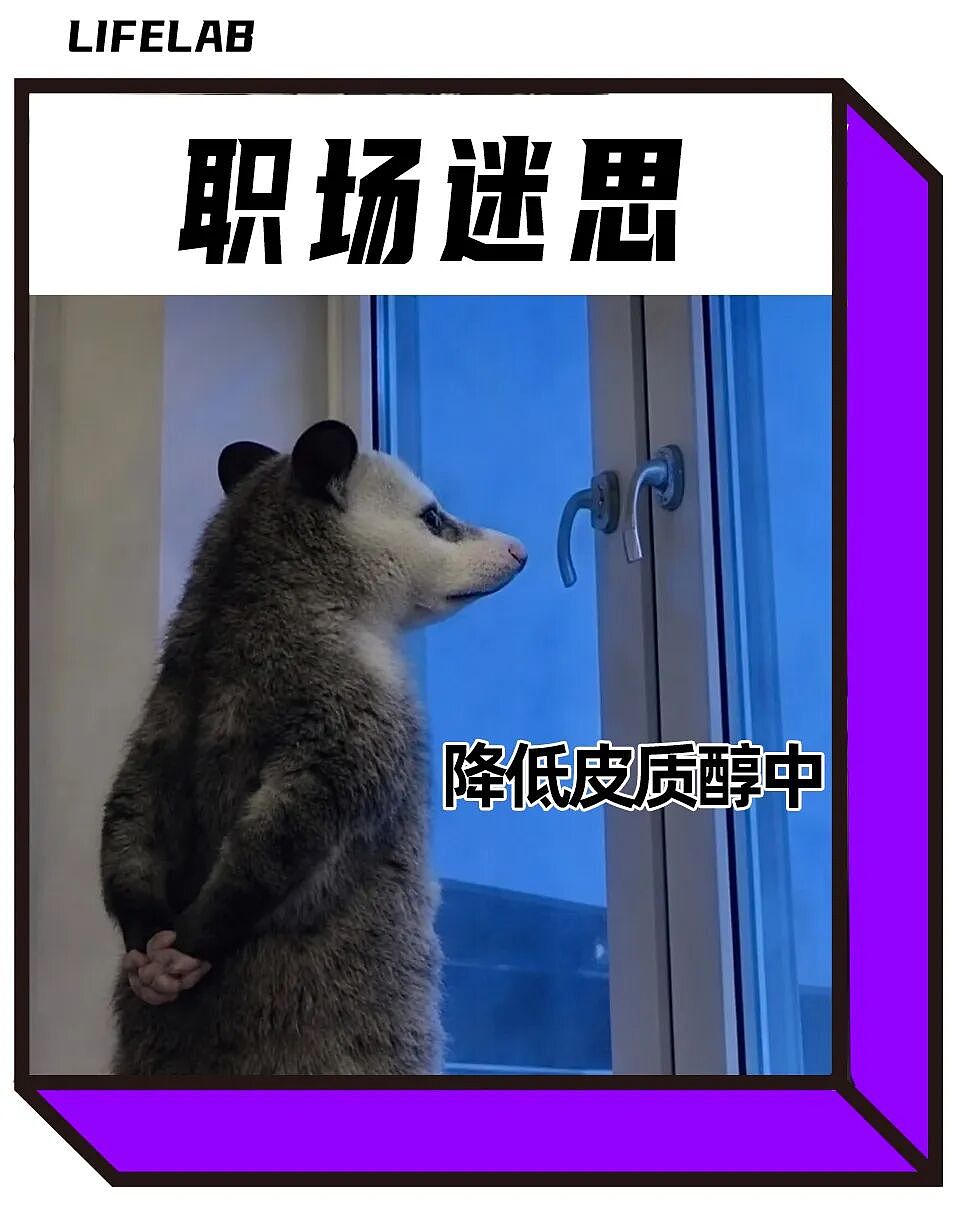 “不吃压力”成打工人新晋顶配人设,皮质醇到底该咋降(组图) - 1