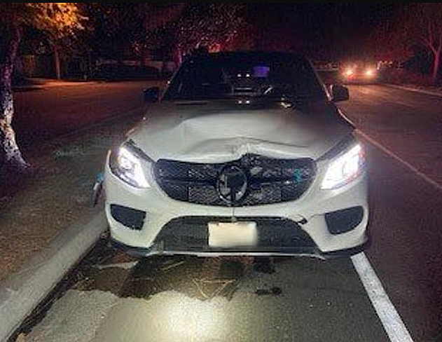 兄弟俩过马路遭遇车祸身亡！美国名媛被判赔1.76亿美元，天价判决震动全美 - 4