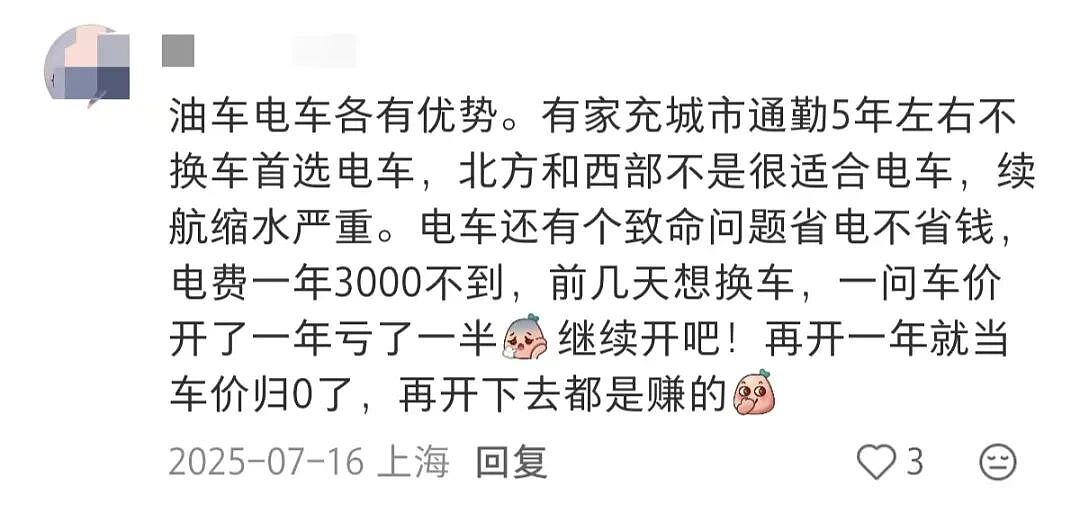 豪车降价潮:燃油车,四面楚歌(组图) - 11
