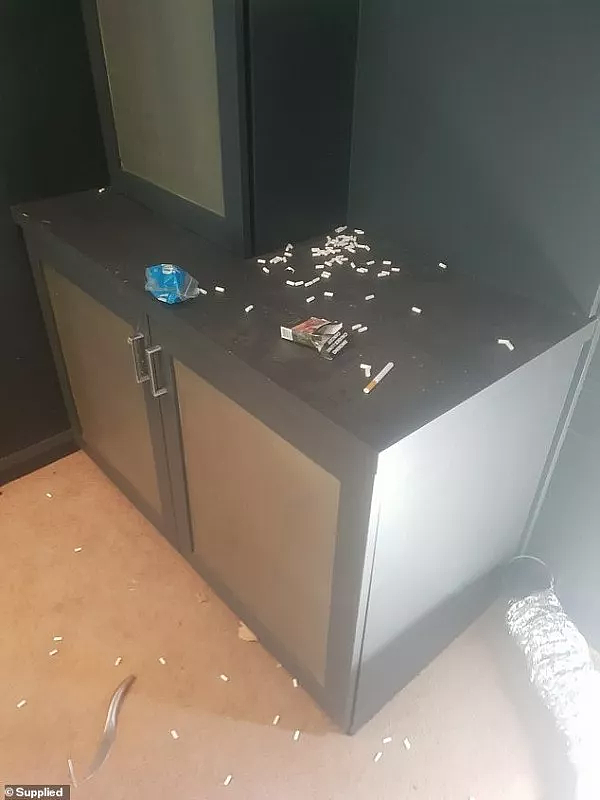 外出几周，房子竟住进一群陌生人，还带着刀！澳洲华人报警后，警方根本不管…（组图） - 6