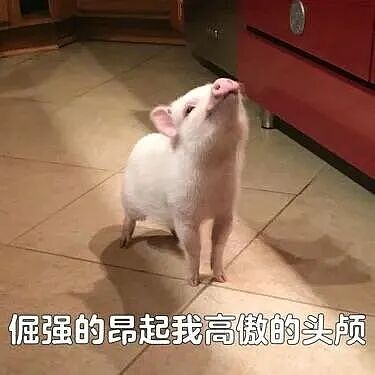 小红书超火的“你身边总会出现的留子”，简直不要太准 - 5
