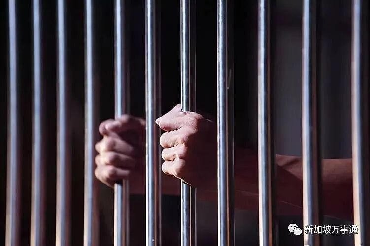 帮同胞逾期者藏身新加坡，2名中国籍PR恐被判2年监禁+罚$6000（组图） - 4
