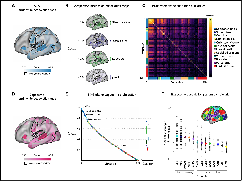 Science最新研究扫描近1.2万个大脑发现：真正拉开孩子差距的，不是智商，而是…… - 10