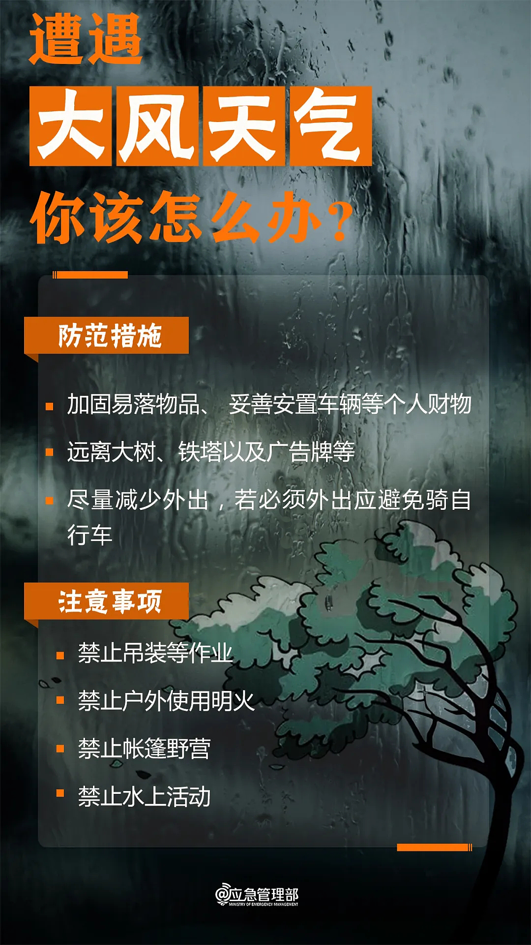 “整栋楼被掏空”，男子住12楼被大风“吸出”坠入绿化带，家属：还在ICU - 16