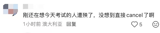 悉尼华人区Carlingford发生处决式枪杀，35岁华男家门口遭枪击身亡 - 3
