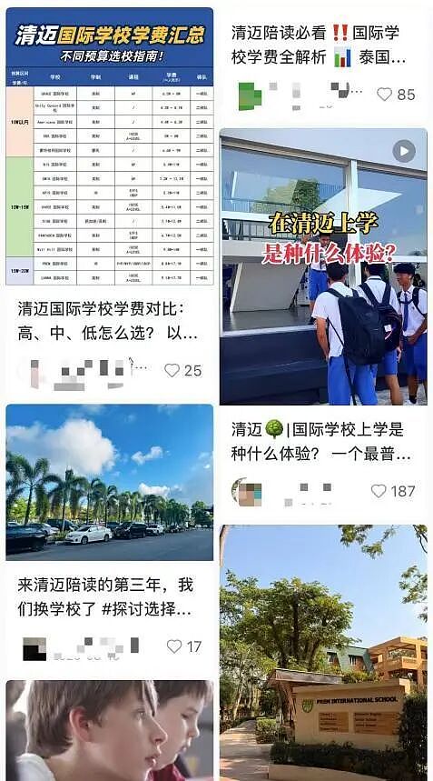 出国的中产后悔了：想回来，但回国失败（组图） - 10