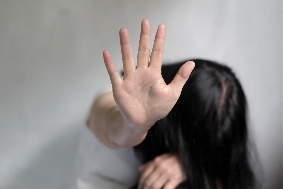中国高管在德犯下“连环迷奸案”!落药迷奸22位女房东,专挑同胞下手(组图) - 4