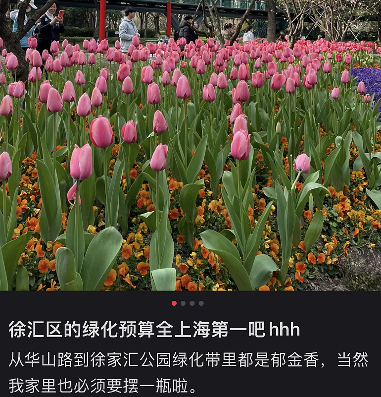 “绿了全世界”的中国,彻底震碎老外三观(组图) - 15