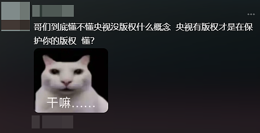 专坑中国的世界杯,背刺最大金主(组图) - 20