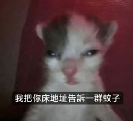 蚊子为何总往人脸上冲?看似胡乱飞行,其实故意瞄准你的脑袋(组图) - 3