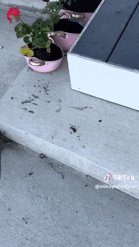 美国妈妈在Temu买粉色烹饪锅，满心欢喜拆箱后，她沉默3秒，然后掏出了手机…（组图） - 20