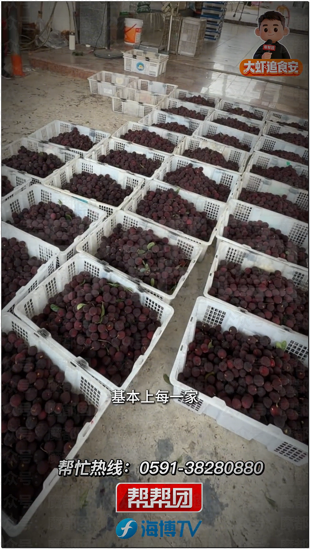气到发抖！我们吃了那么多年杨梅竟都浸泡防腐剂和化学糖精（组图） - 32