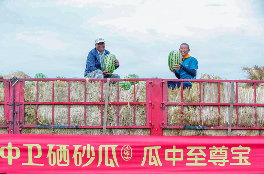 20斤一个的巨型西瓜，为何在中国绝迹了？ - 4