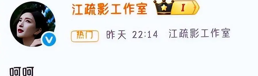 江疏影海外产子风波升级,遭正房儿子当众羞辱(组图) - 2